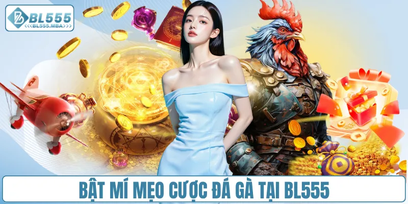 Bật mí mẹo cược đá gà tại BL555