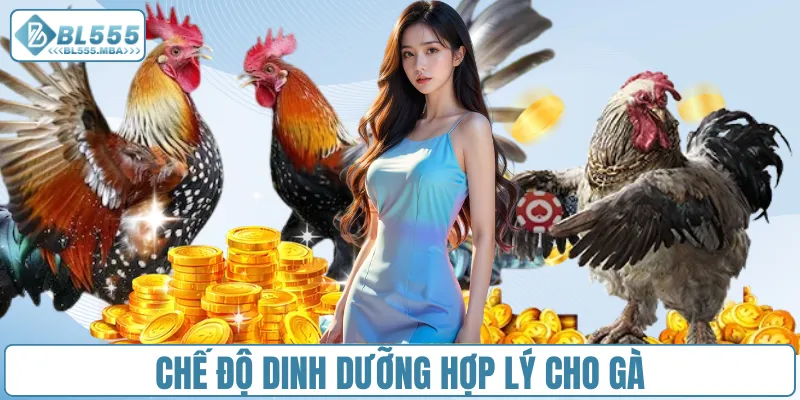 Chế độ dinh dưỡng hợp lý cho gà